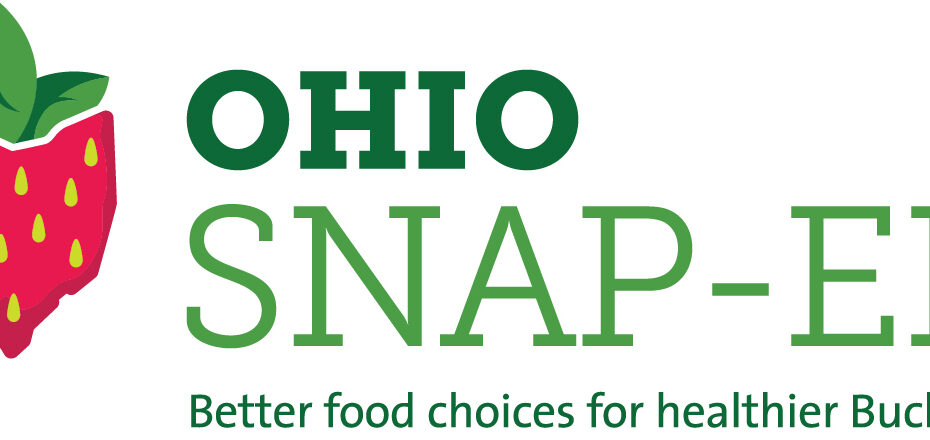 Food Stamp Eligibility Calculator Ohio